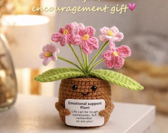 Planta de apoyo emocional tejida a mano a crochet: decoración positiva para el escritorio, regalo de ánimo, maceta de bolsillo.