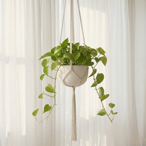 Colgador de macramé blanco para plantas / Macetero colgante bohemio para interior y exterior / Soporte para macetas de cuerda de algodón / Colgador minimalista para plantas / Regalo de decoración para el hogar