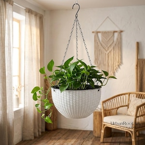 May include: A white, round, woven-texture hanging planter containing a lush green pothos plant. The planter is suspended by a black metal chain and hook assembly, which attaches to the rim of the pot to support the plant's trailing foliage.