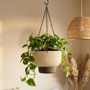 Può includere: Un vaso sospeso con una sezione superiore a coste color crema e una base marrone scuro, appeso a una catena di metallo nero. Una rigogliosa pianta di pothos verde con foglie a forma di cuore ricade dai bordi. Il testo riporta UrbanRoot.Art.
