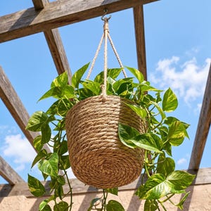 May include: A hanging woven basket planter filled with green and yellow pothos plants. The basket is suspended from a wooden pergola with rope. The background is a bright blue sky.