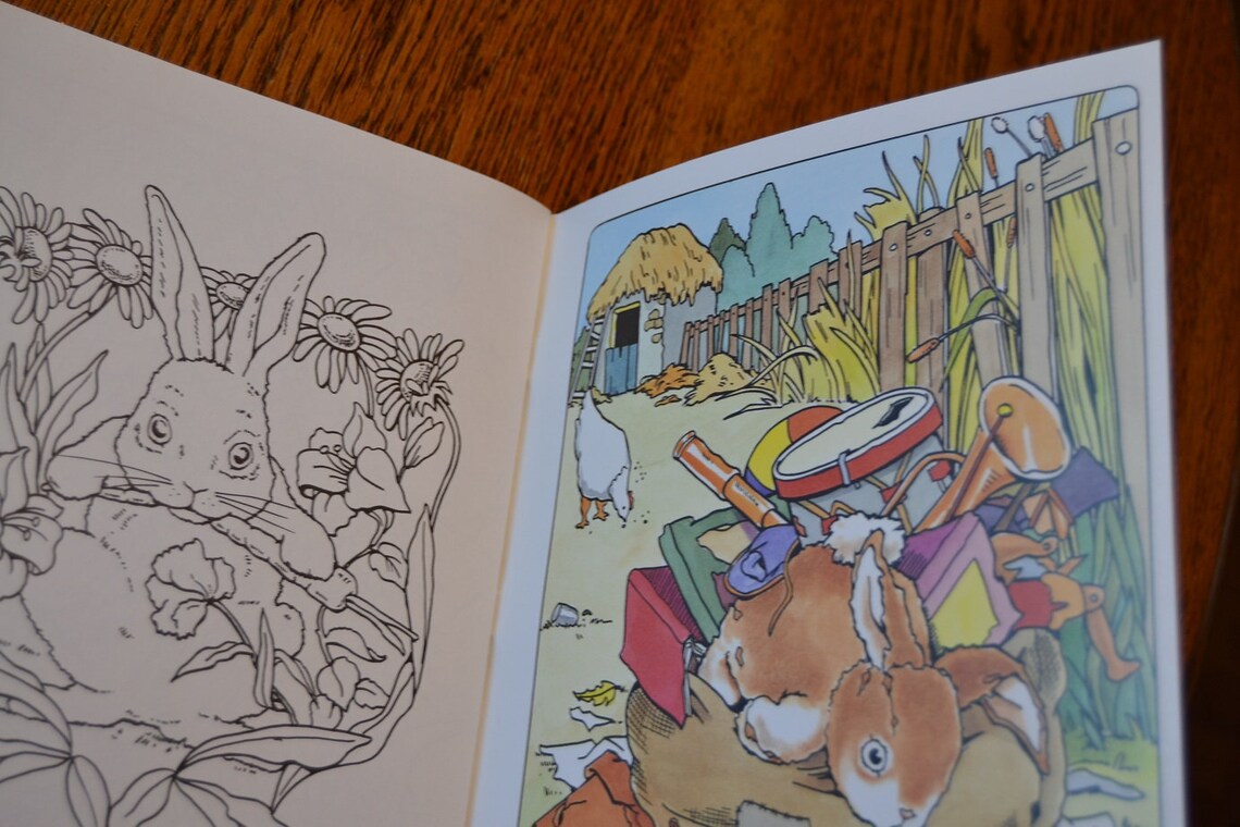 The Velveteen Rabbit Coloring Book by Margery Williams | Etsy