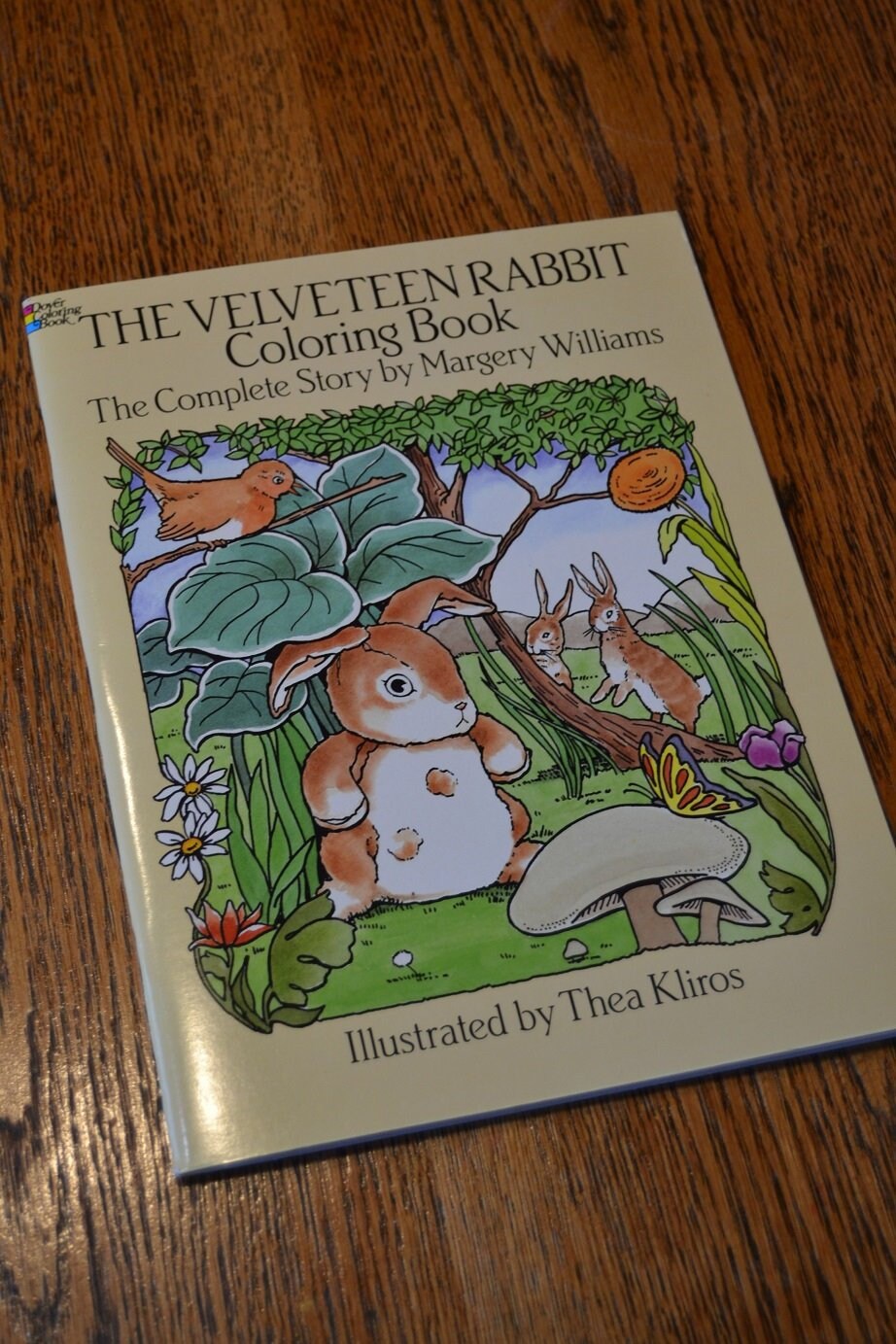 The Velveteen Rabbit Coloring Book by Margery Williams | Etsy
