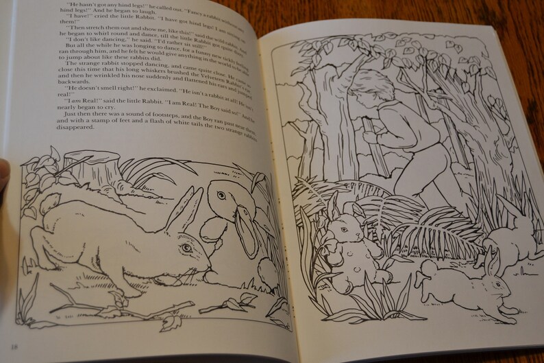 The Velveteen Rabbit Coloring Book by Margery Williams | Etsy