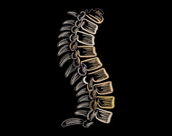 Human Spine Machine Embroidery Design, Anatomical Vertebrae Pattern, Chiropractor Medical File, Instant Download