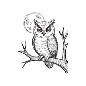 May include: A detailed black and white sketch of an owl perched on a tree branch, with a full moon in the background. The owl has large, round eyes and detailed feather patterns. The artwork is set against a plain white background.