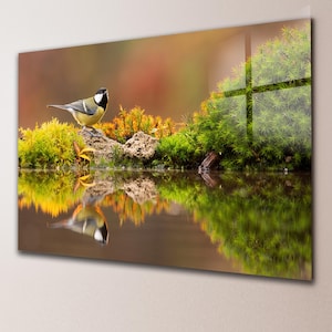 Op de afbeelding: Een rechthoekige glazen wanddecoratie met een koolmees die op een rots zit naast felgroen mos en oranje gebladerte. De scène wordt weerspiegeld in het kalme water eronder, wat zorgt voor een symmetrische compositie met een zachte, wazige achtergrond.