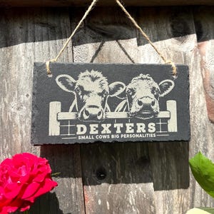 Plaque décorative en ardoise « Vaches Dexter » – Petites vaches, grandes personnalités – Gravure laser – Cadeau sur le thème des vaches Dexter