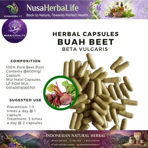 Op de afbeelding: Afbeelding van kruidencapsules met het label "BUAH BEET BETA VULGARIS". De capsules zijn lichtgroen van kleur en worden weergegeven met een illustratie van bieten. De tekst op de afbeelding bevat ook "NusaHerbaLife" en "Indonesian Natural Herbal."