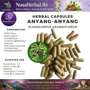 Könnte beinhalten: Werbebild für Kräuterkapseln "ANYANG-ANYANG" mit dem Text "ELAEOCARPUS GRANDIFLORUS." Zahlreiche hellbraune Kapseln werden vor einem weißen Hintergrund gezeigt. Das Bild enthält auch Details zur Zusammensetzung und Verwendung des Produkts.