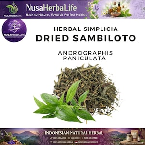 May include: Image of dried Sambilo leaves, also known as Andrographis Paniculata, with fresh green leaves in the foreground. The image includes text that reads "Herbal Simplicia Dried Sambiloto" and "Indonesian Natural Herbal".