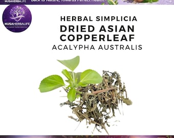 Suszony korzeń Acalypha Australis – świeże, naturalne zioła, przyprawy ziołowe