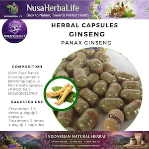 Può includere: Immagine di capsule a base di erbe con l'etichetta "Ginseng Panax Ginseng". L'immagine include radici e foglie di ginseng e il marchio "NusaHerbaLife". Il testo indica il 100% di contenuto puro di Panax Ginseng.