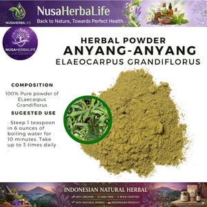 Könnte beinhalten: Nahaufnahme eines Haufens Anyang-Anyang-Kräuterpulver, hellgrüne Farbe. Der Text auf dem Bild lautet "Herbal Powder Anyang-Anyang Elaeocarpus Grandiflorus". Das Bild enthält auch Text über die Zusammensetzung und die empfohlene Verwendung des Pulvers.
