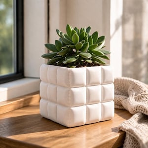 Puede incluir: Una maceta cuadrada blanca con diseño acolchado, que contiene una planta suculenta verde. La maceta está sobre una superficie de madera cerca de una ventana. Las dimensiones de la maceta son de aproximadamente 15 cm por 15 cm.