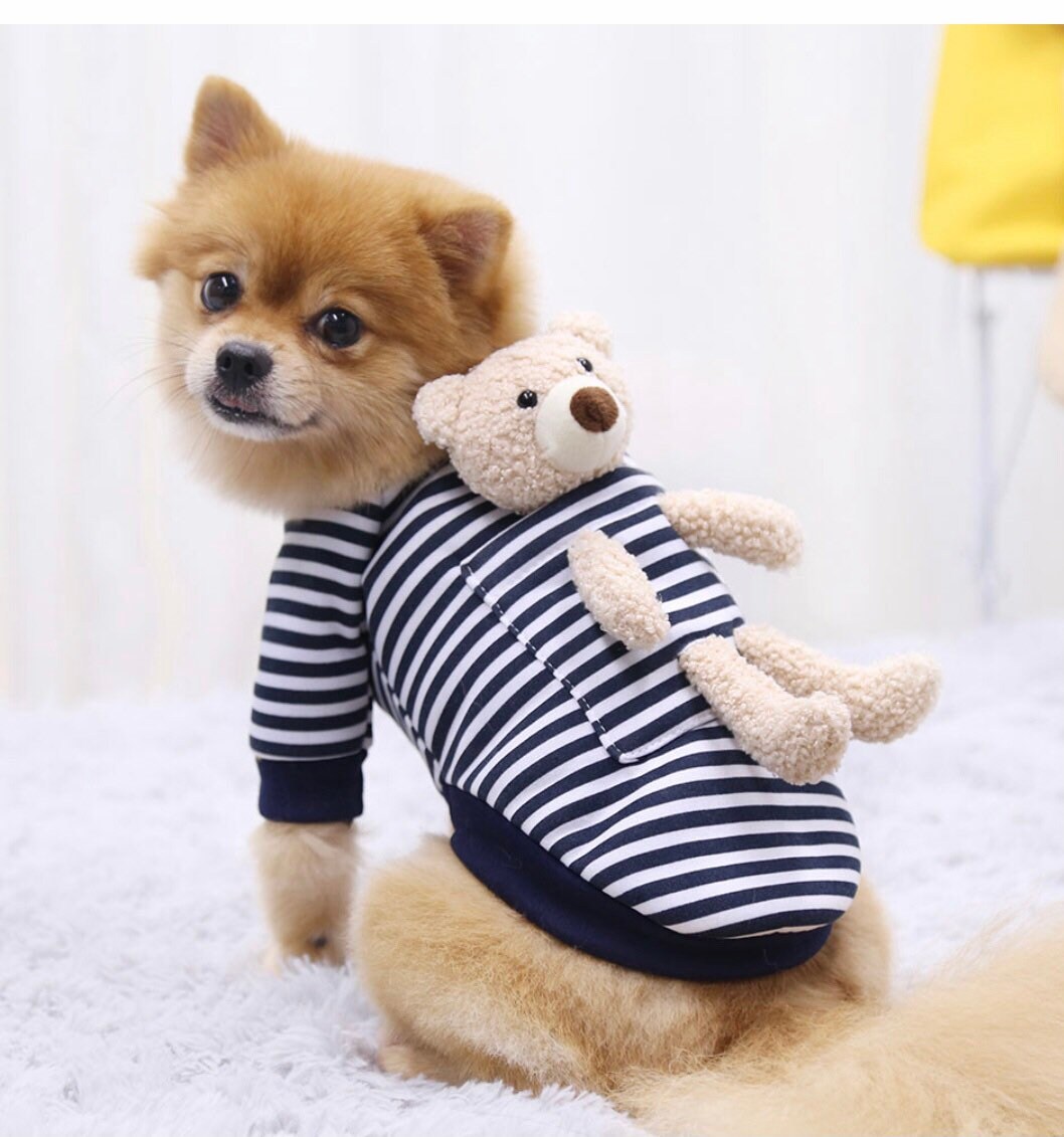 teddy bear sweater for dogs