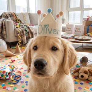 May include: A Golden Retriever wearing a cream-colored crown with the name "Oliver" embroidered in light blue. The crown is decorated with small, colorful pom-poms. The dog is surrounded by party decorations, including confetti and gift boxes, suggesting a birthday celebration.