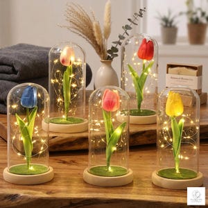 Peut inclure: Cinq cloches en verre avec des tulipes de différentes couleurs : bleu, rose, rouge et jaune. Chaque tulipe est illuminée par des guirlandes lumineuses et repose sur un socle en bois avec de la fausse verdure. Un arrangement floral décoratif est en arrière-plan.