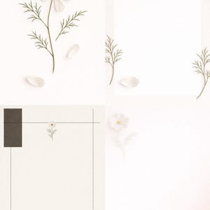 May include: A collection of floral design elements on a white background. The image features a white cosmos flower with yellow center, scattered petals, and sprigs of green foliage. Additional elements include small gold accents and geometric shapes.
