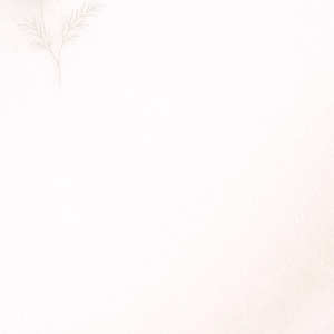 May include: A delicate white cosmos flower with a yellow center and slender green stem and leaves. The flower is set against a soft, off-white background, creating a minimalist and serene aesthetic. Ideal for floral art or botanical prints.