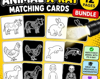 XRAY Fun Activity | Body Structure Game | Educational Exercise for toddlers (PDF Download) kids educational game, kids fun game