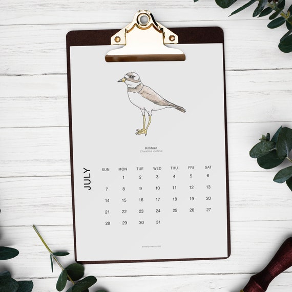 Calendrier 2024 à Imprimer 2024 Printable Calendar Monthly Planning Mensuel  Art Calendar Calendrier Illustré Oiseaux Birds Nature 