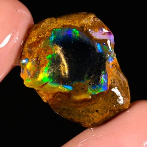 May include: A rough opal gemstone with a dark interior and vibrant flashes of color. The stone displays a mix of blues, greens, and yellows, set against a brown matrix. The gemstone is held between two fingers.