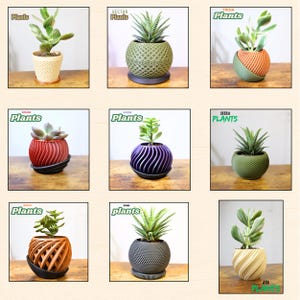 Jardinières / Pot de Fleurs Modernes