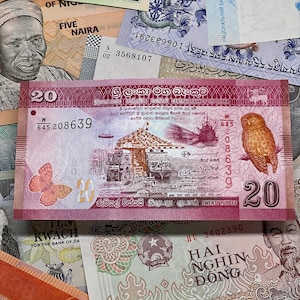 World Banknotes Lot | 5–100 Different Notes | Mixed Countries | UNC & Uncirculated | Collectible Paper Money Set