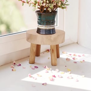 May include: A small, round wooden plant stand with three legs supports a dark green and brown ceramic pot filled with greenery. Pink and yellow flower petals are scattered on the white surface around the stand.