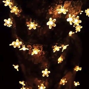 Luzes solares em formato de flor, 6,5 m