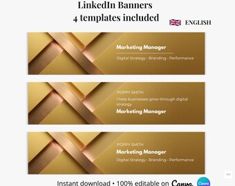 Professional LinkedIn Banner Canva Template | Modern Design | 3 Variations + Blank Version