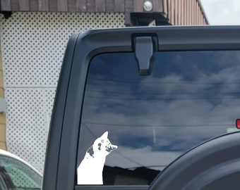 Funny looking cat for rear view window / But did you die sticker / No words sticker / cat