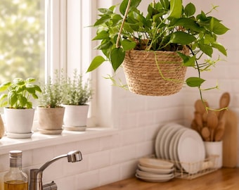 Macetero colgante de macramé y yute / Colgador de plantas bohemio natural para decoración de interiores
