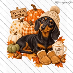 May include: A black and tan dachshund wearing a tan knit beanie and tan boots, lying among pumpkins, autumn leaves, and acorns. A wooden sign reads PUMPKIN PATCH and a mug with whipped cream features the text hello fall.