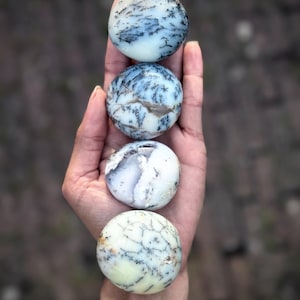 Dendritisk opalpalmsten | Merlinitkristall, tillväxt och motståndskraft, rotchakra Medium