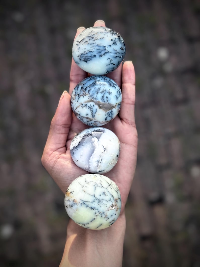 Dendritisk opalpalmsten | Merlinitkristall, tillväxt och motståndskraft, rotchakra Medium