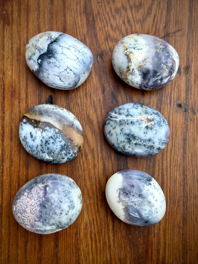 Dendritisk opalpalmsten | Merlinitkristall, tillväxt och motståndskraft, rotchakra bild 10