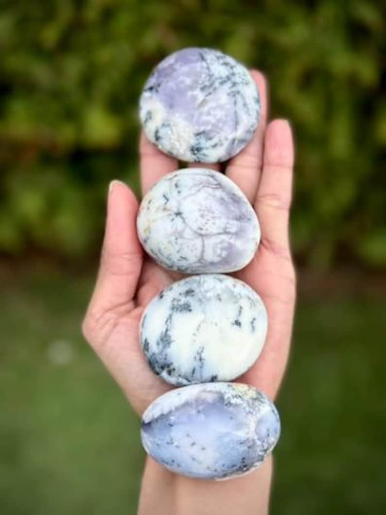 Dendritisk opalpalmsten | Merlinitkristall, tillväxt och motståndskraft, rotchakra bild 3
