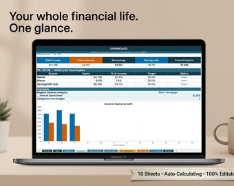 Simple Annual Budget Planner Excel Template | Colorblind Friendly Expense Tracker (Digital Download)