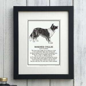 Unframed Border Collie print in acid free mount with illustration and poem about Border Collie characteristics. Fits a standard 10 x 8 inch frame.