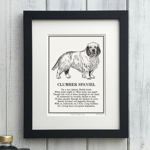 Clumber Spaniel Print: Personalised Dog Illustration & Poem Art