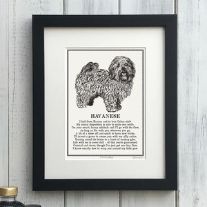 May include: Black and white illustration of a Havanese dog with a poem about its personality. The poem describes the dog as "smart, funny, and quick to learn new tricks".