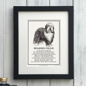 Bearded Collie Print Illustrated Poem Etsy