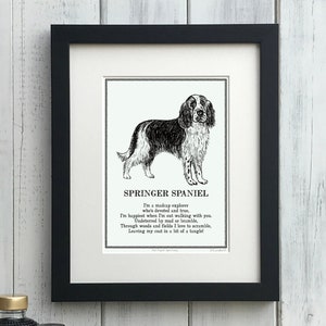 Springer Spaniel Print Illustrated Poem