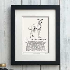 Italian Greyhound Print Illustrated Poem, Dog Owner Gift, Personalised Dog Art Print.