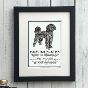 Portuguese water dog merchandise new arrivals