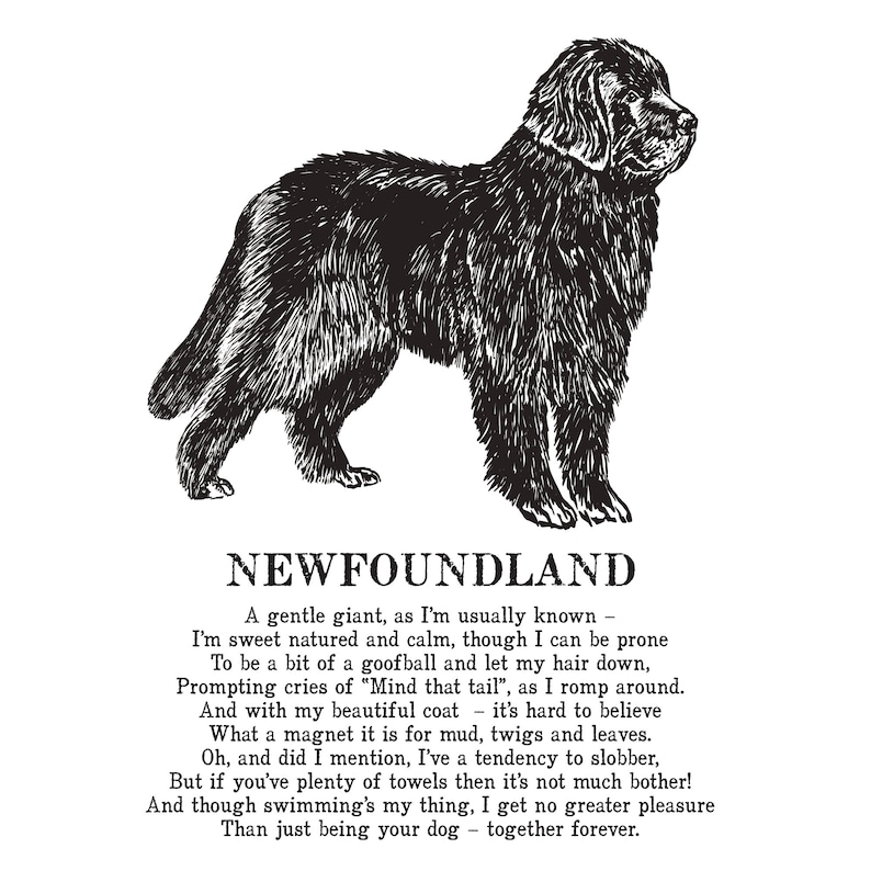 Newfoundland Print Illustrated Poem - Etsy UK