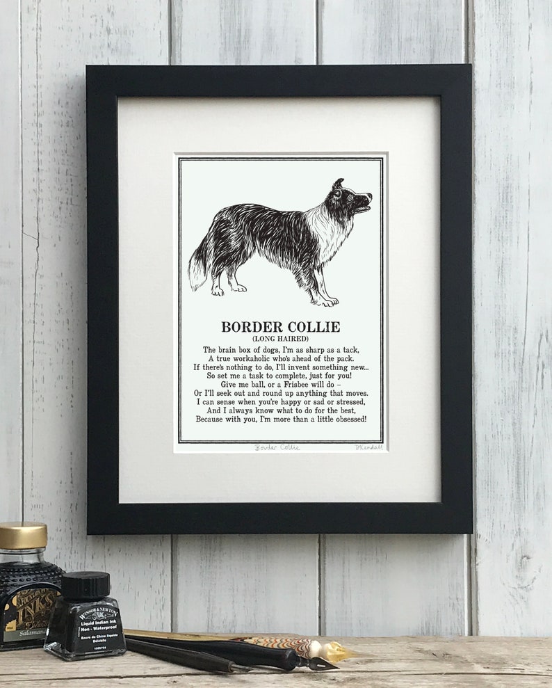 Unframed Border Collie print in acid free mount with illustration and poem about Border Collie characteristics. Fits a standard 10 x 8 inch frame.