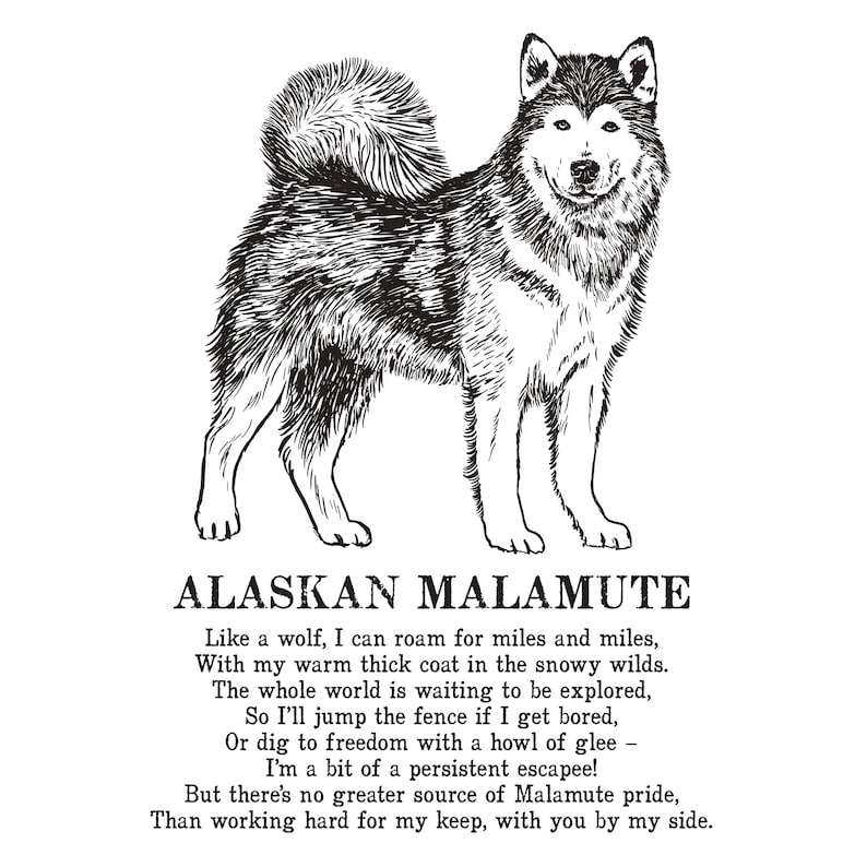 Alaskan Malamute Print Illustrated Poem | Etsy